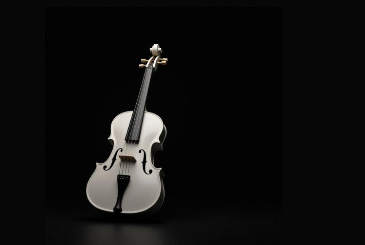 Electric Violin