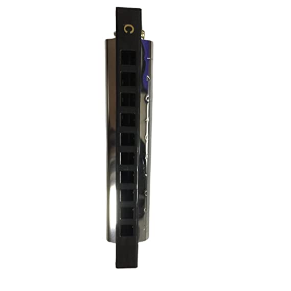 Intern KEY C 10-Hole Diatonic Blues Harmonica for Professionals with Case & Cloth (Silver)