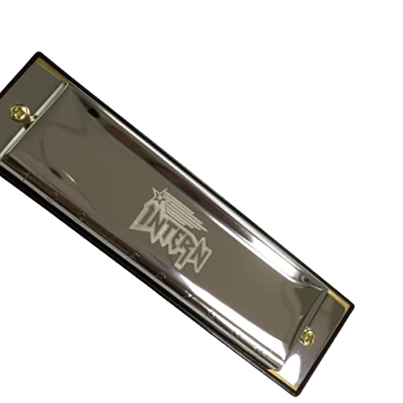 Intern KEY C 10-Hole Diatonic Blues Harmonica for Professionals with Case & Cloth (Silver)