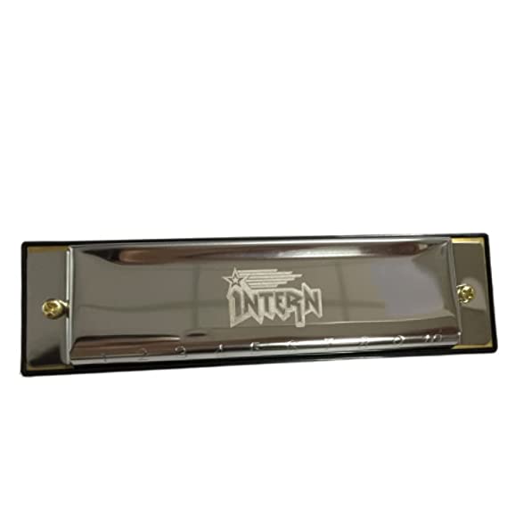 Intern KEY C 10-Hole Diatonic Blues Harmonica for Professionals with Case & Cloth (Silver)