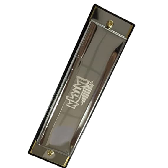 Intern KEY C 10-Hole Diatonic Blues Harmonica for Professionals with Case & Cloth (Silver)