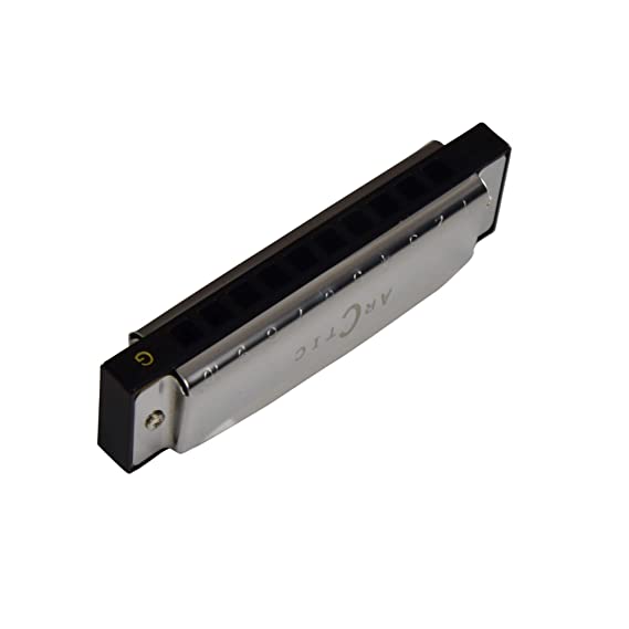 ARCTIC G Scale 10-Hole 20-Tone Harmonica | Premium Mouth Organ with Case & Cloth