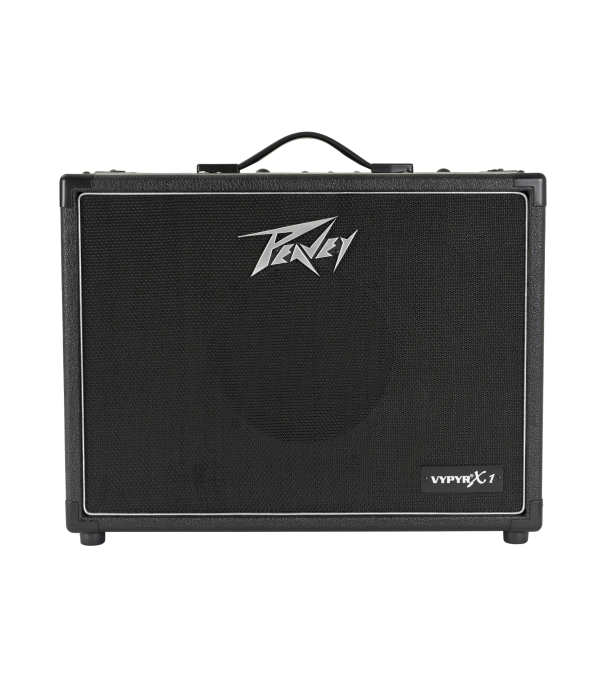 Peavey guitar amplifier on a white background