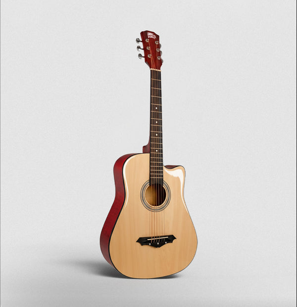 Intern 41 inch Acoustic Guitar with Picks - Natural