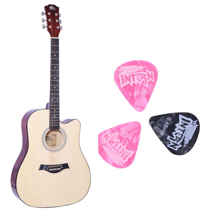 Intern 41" Cutaway Acoustic Guitar with Premium Wood & Plectrums
