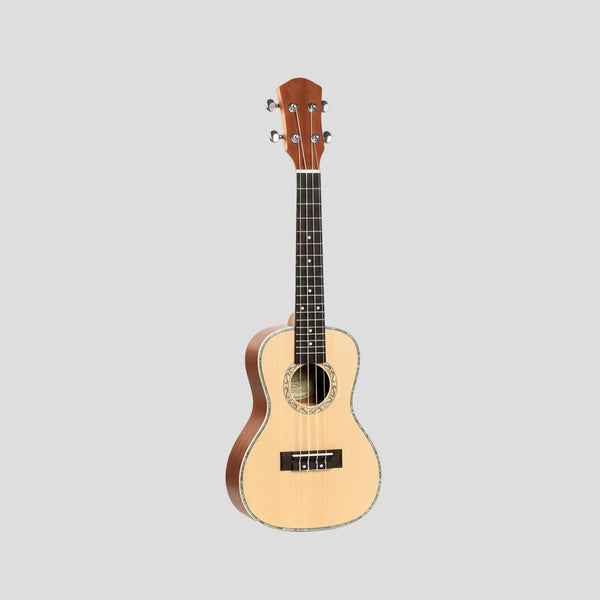 Arctic 24 Inch Concert Ukulele with Bag & Strings