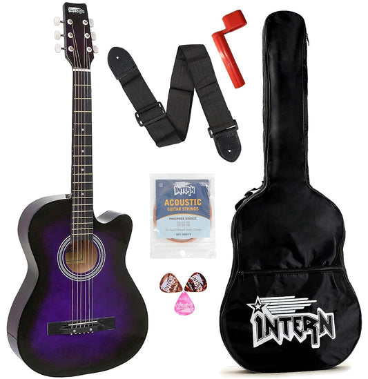 Intern INT-38C Acoustic Guitar Kit (Purple) ‎INT-38C-VTS