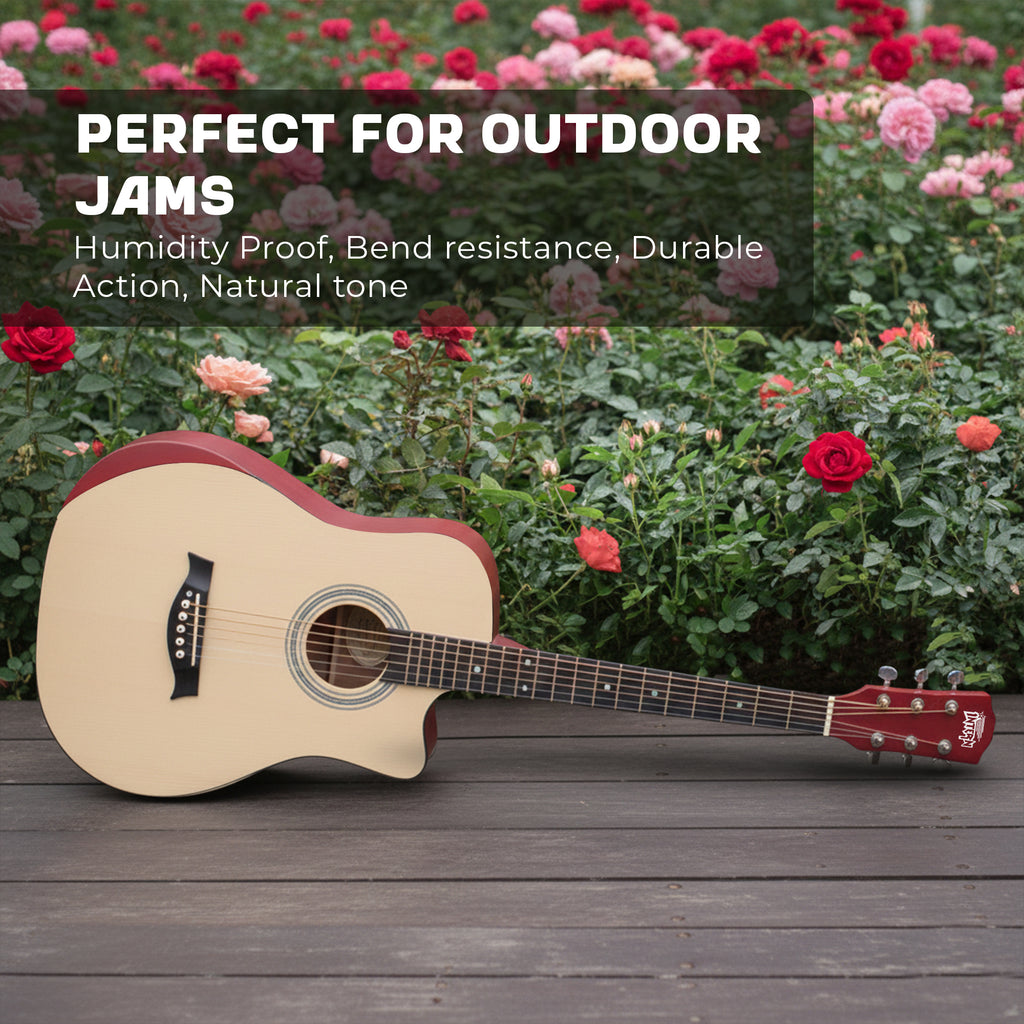 Intern 38 Inch Carbon Fibre Acoustic Guitar - Natural