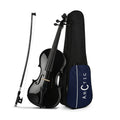 Arctic Onyx 4/4 Solid Wood Professional Black Violin for Beginners | AR-PVK-02