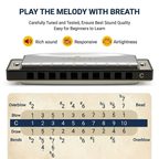 ARCTIC Key C 10-Hole Diatonic Harmonica Mouth Organ – For Beginners & Professionals with Hard Case (Silver)