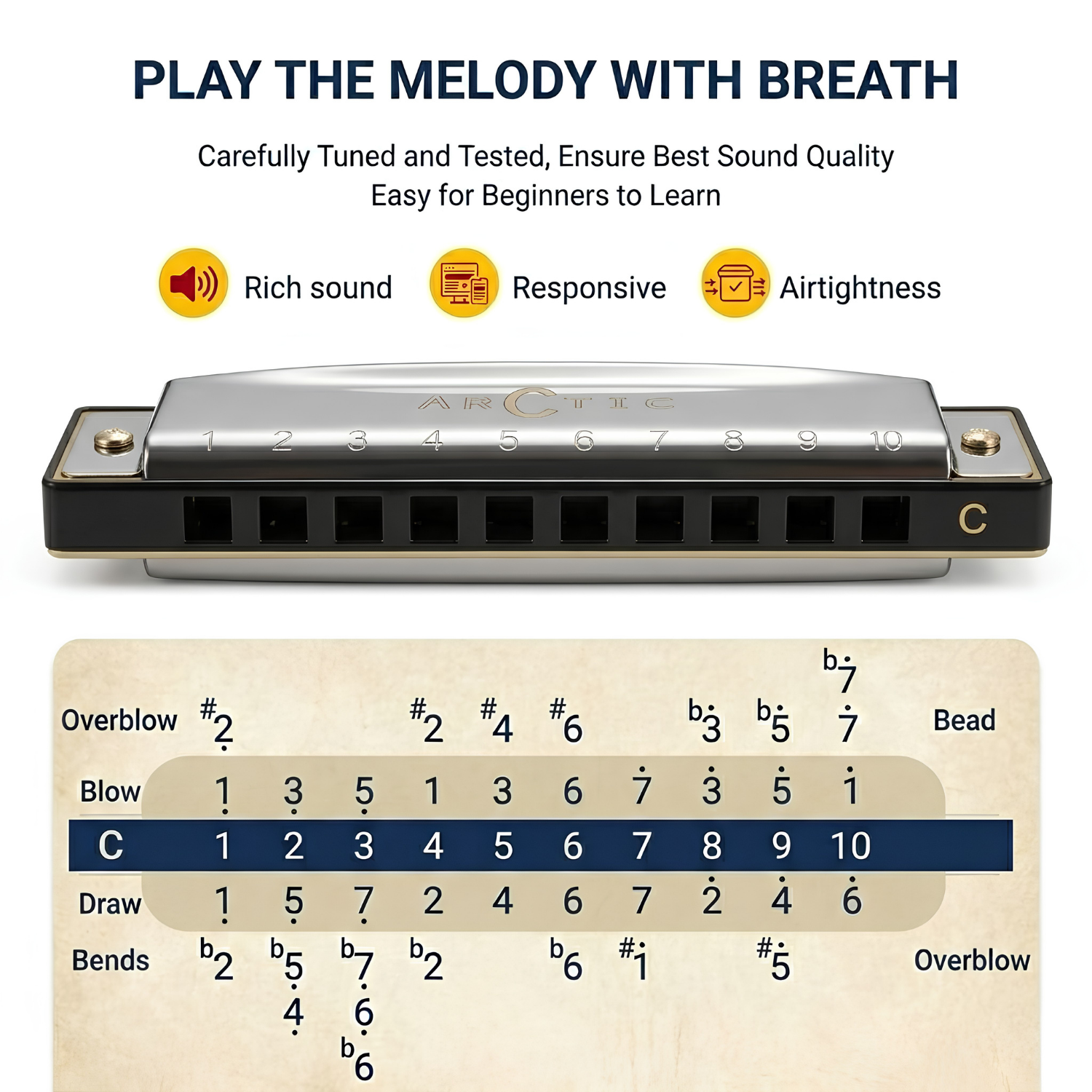 ARCTIC Key C 10-Hole Diatonic Harmonica Mouth Organ – For Beginners & Professionals with Hard Case (Silver)