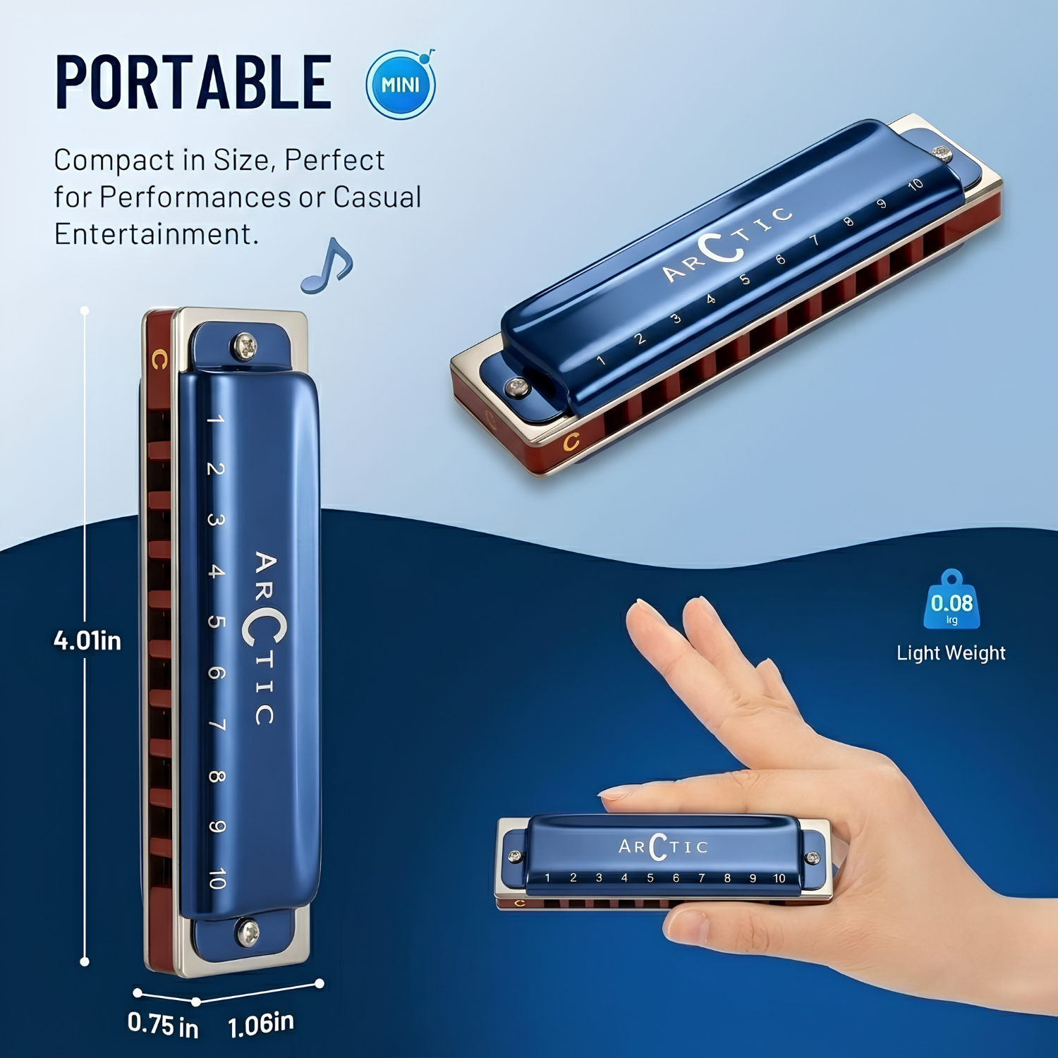 ARCTIC C Scale 10-Hole/20-Tone Premium Harmonica with Case & Cleaning Cloth – For Professionals & Beginners