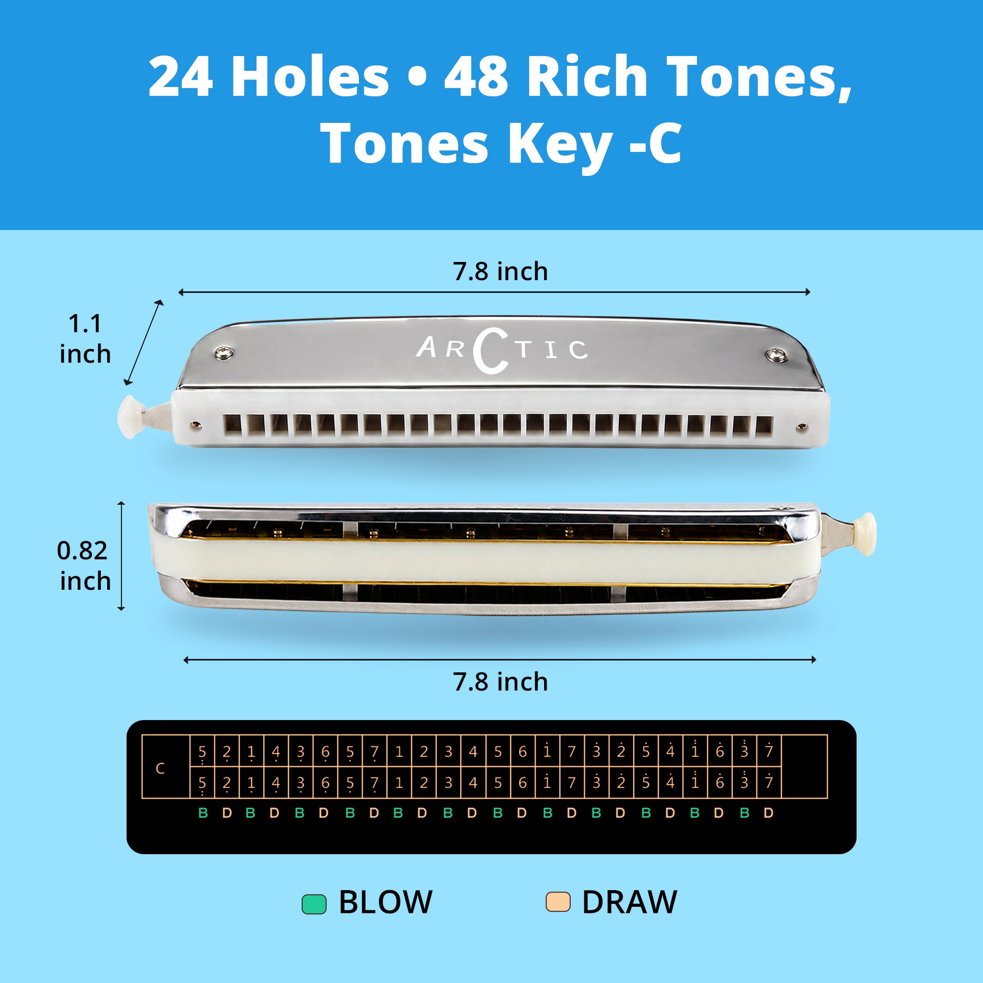 ARCTIC C Scale 24-Hole Chromatic Scale Changer Harmonica with Case – Premium Mouth Organ