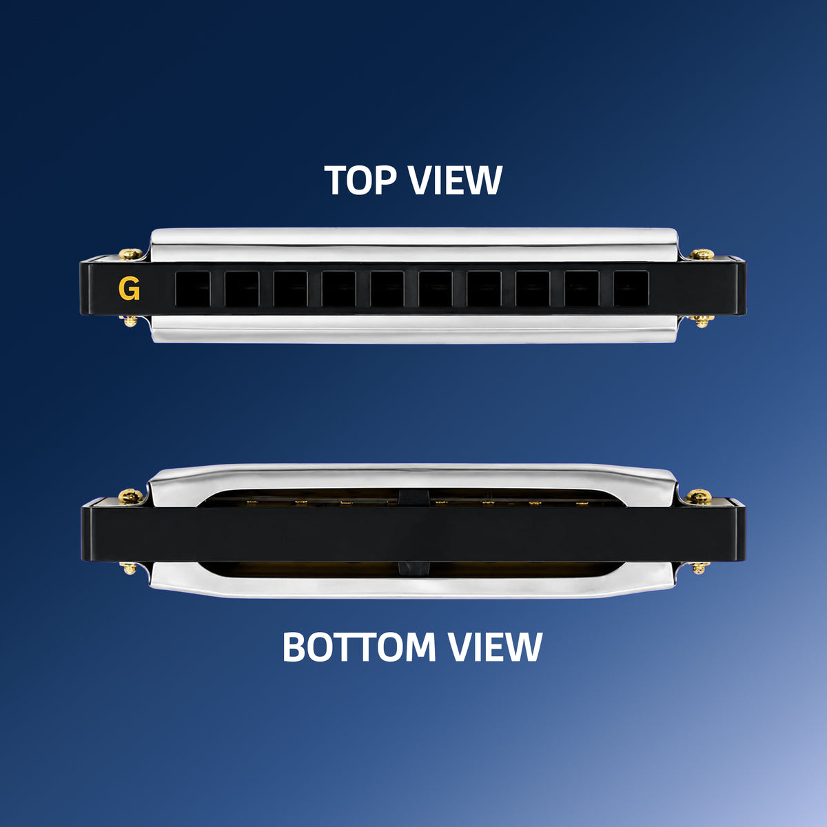ARCTIC G Scale 10-Hole 20-Tone Harmonica | Premium Mouth Organ with Case & Cloth