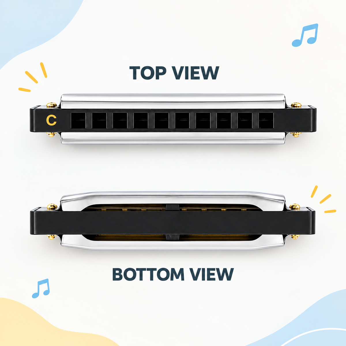 ARCTIC Key C 10-Hole Diatonic Harmonica Mouth Organ – For Beginners & Professionals with Hard Case (Silver)