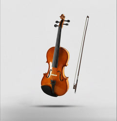 Arctic Neo Full Size 4/4 Solid Wood Beginner Violin Kit | AR-PVK-01