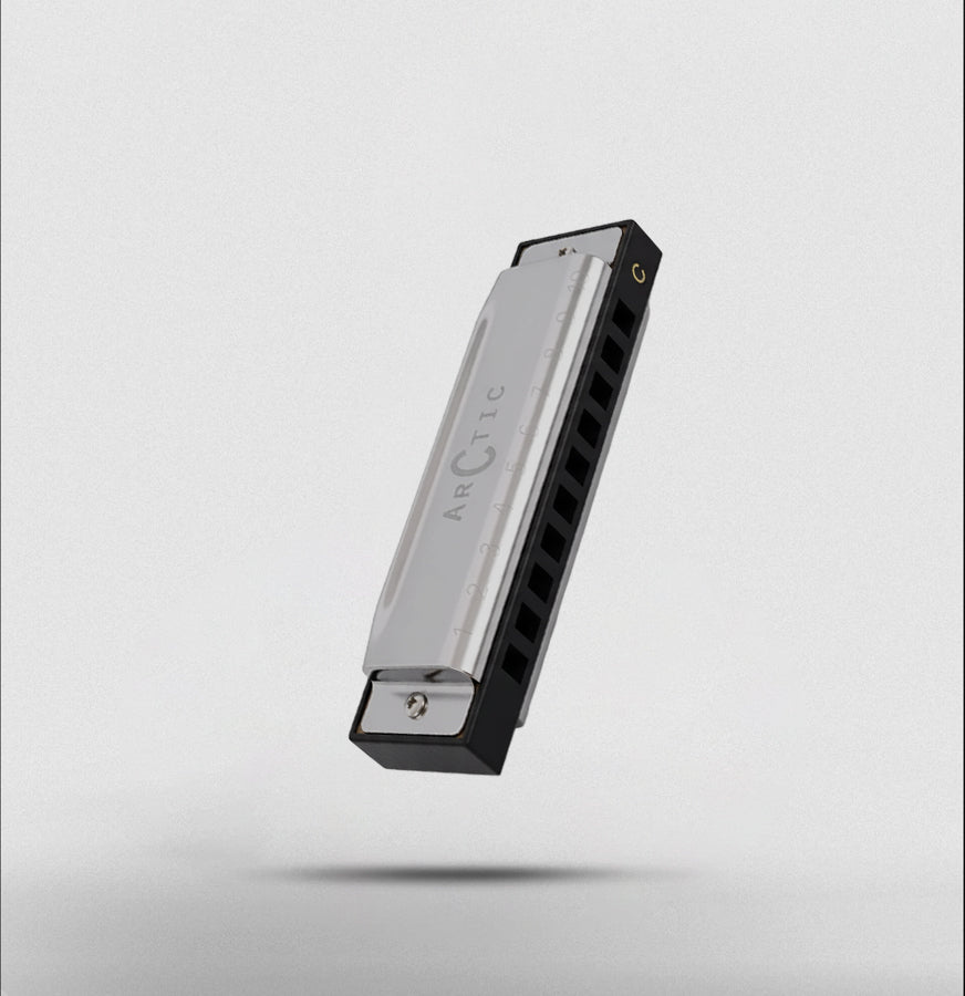 ARCTIC Key C 10-Hole Diatonic Harmonica Mouth Organ – For Beginners & Professionals with Hard Case (Silver) - Guitar World Store
