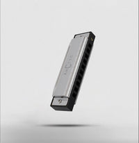 ARCTIC Key C 10-Hole Diatonic Harmonica Mouth Organ – For Beginners & Professionals with Hard Case (Silver)