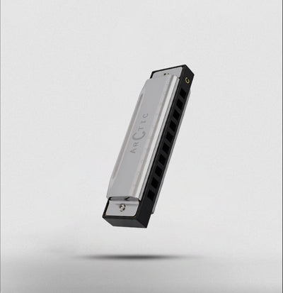 ARCTIC Key C 10-Hole Diatonic Harmonica Mouth Organ – For Beginners & Professionals with Hard Case (Silver)