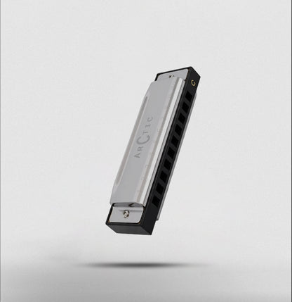 ARCTIC Key C 10-Hole Diatonic Harmonica Mouth Organ – For Beginners & Professionals with Hard Case (Silver)