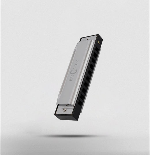 ARCTIC Key C 10-Hole Diatonic Harmonica Mouth Organ – For Beginners & Professionals with Hard Case (Silver)