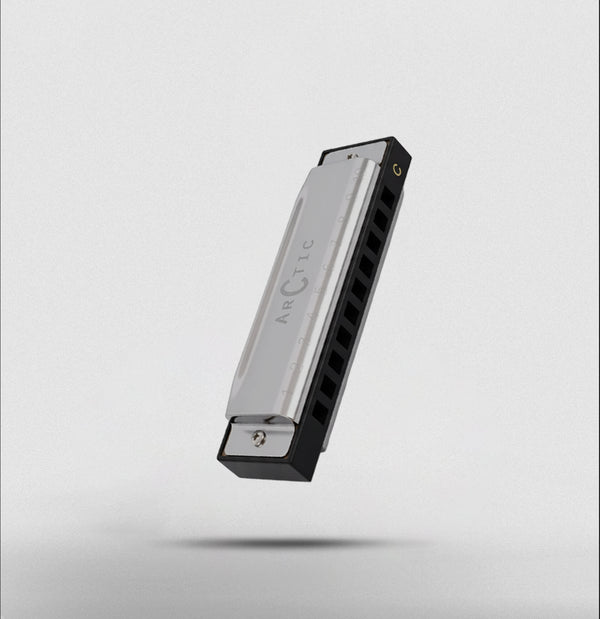 ARCTIC Key C 10-Hole Diatonic Harmonica Mouth Organ – For Beginners & Professionals with Hard Case (Silver)