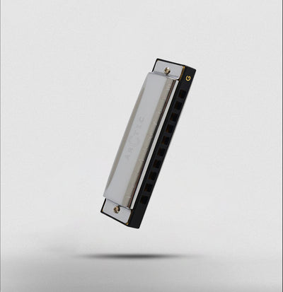 ARCTIC G Scale 10-Hole 20-Tone Harmonica | Premium Mouth Organ with Case & Cloth