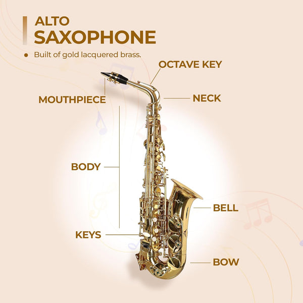 Diagram of an alto saxophone with labeled parts on a beige background