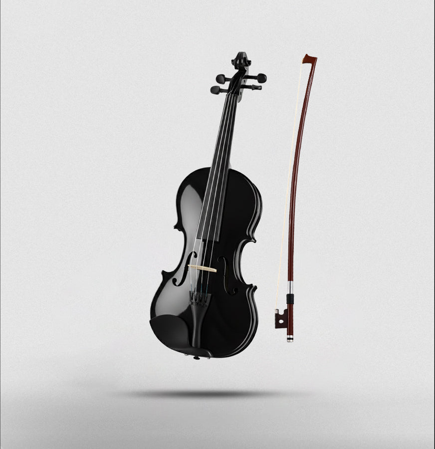 Arctic Onyx Violin Kit - Violin 4/4 with case, bow & Rosin