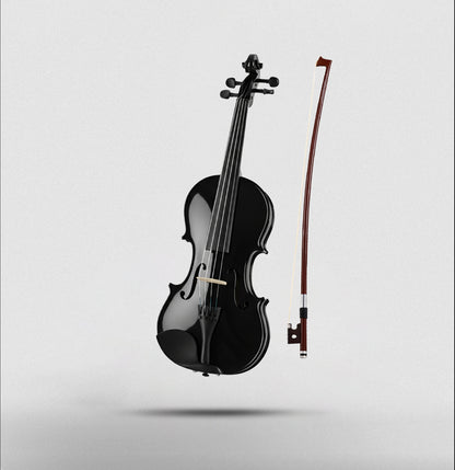 Arctic Onyx Violin Kit - Violin 4/4 with case, bow & Rosin