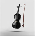 REVEL RVL-PVK-02 4/4 Classical (Modern) Violin  (Black)