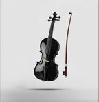 REVEL RVL-PVK-02 4/4 Classical (Modern) Violin  (Black)