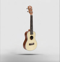 Intern 21 Inch Soprano Ukulele with Carry Bag