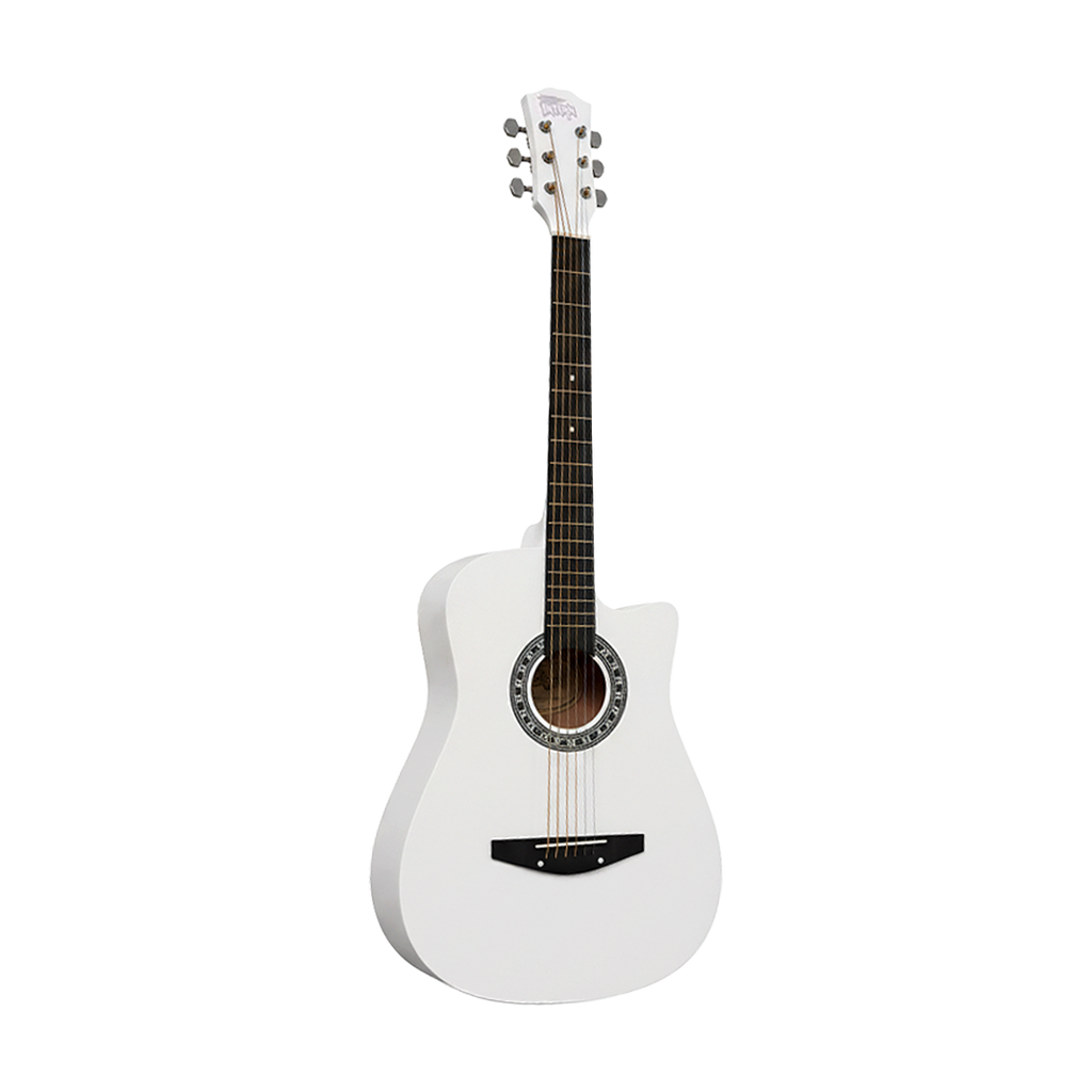 Intern INT-38C-WH | 38" Acoustic Guitar Kit - White Matte Finish