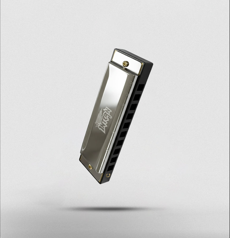 Intern Key C 10-Hole Diatonic Mouth Organ Harmonica with Case & Cleaning Cloth – Silver
