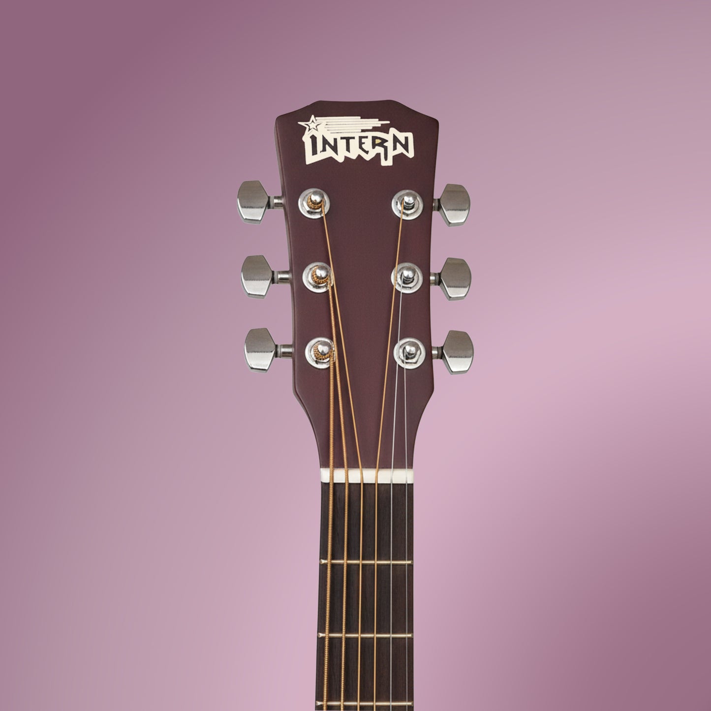 Intern INT-38C | 38" Acoustic Guitar Kit - Natural Matte Finish