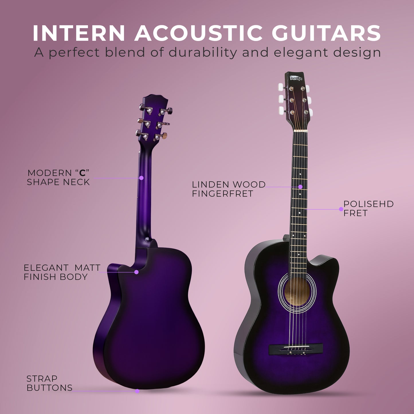 Intern INT-38C | 38" Acoustic Guitar Kit - Violet Matte Finish