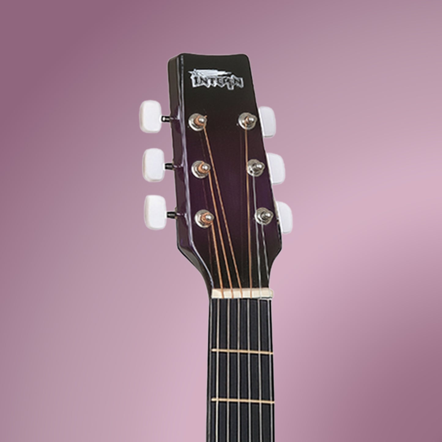 Intern INT-38C | 38" Acoustic Guitar Kit - Violet Matte Finish