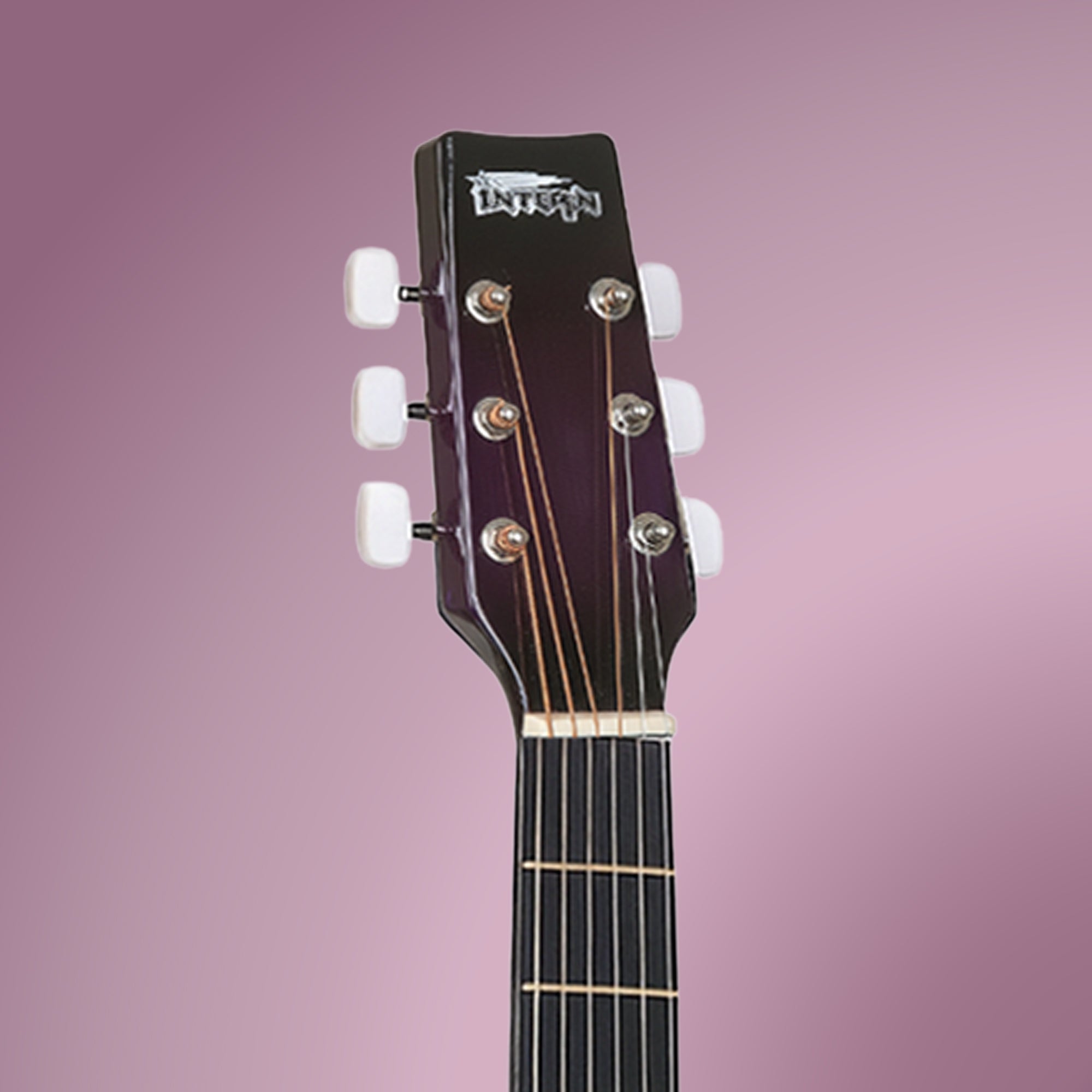 Intern INT-38C-VTS | 38" Acoustic Guitar Kit - Violet Matte Finish
