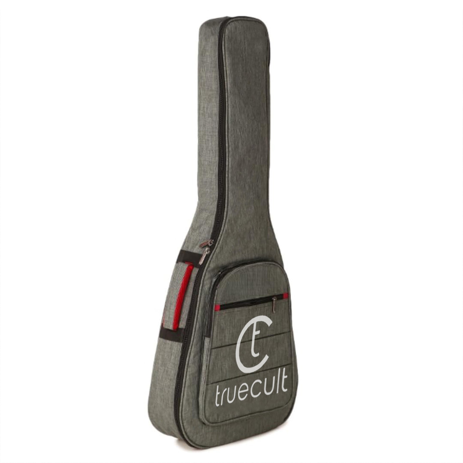 Gray guitar case with 'truecult' branding on a white background