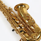 Arctic Professional Alto Saxophone Gold Lacquer Finish | ‎AR-SAX-100