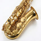 Arctic Professional Alto Saxophone Gold Lacquer Finish | ‎AR-SAX-100
