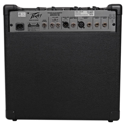 Peavey guitar amplifier back panel with various connectors on a white background
