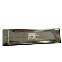 Intern Key C 10-Hole Diatonic Mouth Organ Harmonica with Case & Cleaning Cloth – Silver