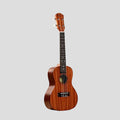 Arctic 24 Inch Soprano Ukulele with Bag & Strings
