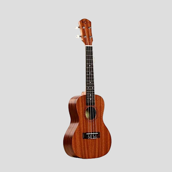 Arctic 24 Inch Soprano Ukulele with Bag & Strings