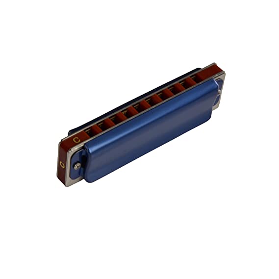 ARCTIC C Scale 10-hole / 20 tones Premium Harmonica/Mouth Organ with Case and Cloth for Professional and Amateurs. Ultra premium finish and durable built