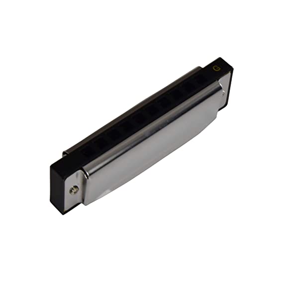 ARCTIC G Scale 10-Hole 20-Tone Harmonica | Premium Mouth Organ with Case & Cloth