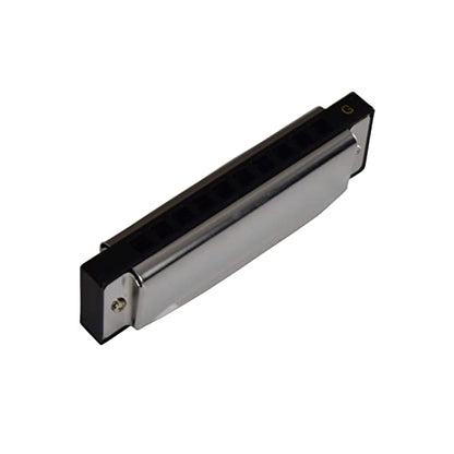 ARCTIC AR-HA10 Key C 10-Hole Diatonic Blues Harmonica (Silver)