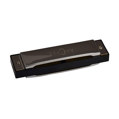 ARCTIC AR-HA10 Key C 10-Hole Diatonic Blues Harmonica (Silver)